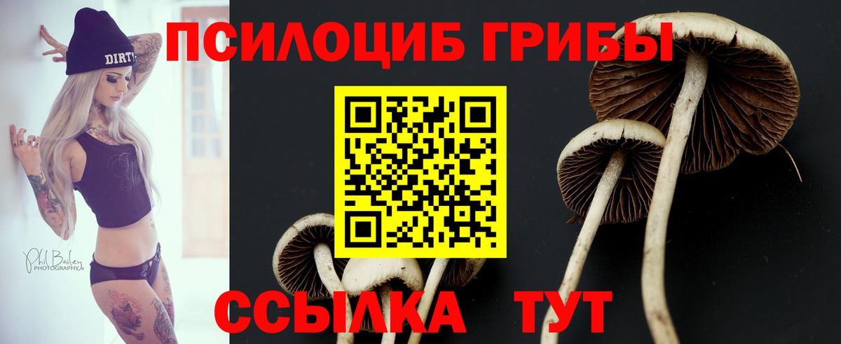 Псилоцибиновые грибы Psilocybine cubensis  Псилоцибиновые грибы GOLDEN TEACHER  Дубна  Вход с VPN 